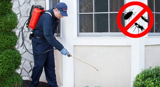 Tire Dezenfeksiyon böcek ilaçlama ve haşere kontrolü — ilaclama-tr.com